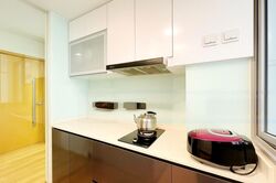 A Treasure Trove (D19), Condominium #484159551